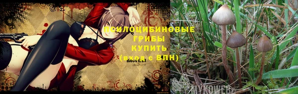 каннабис Карпинск