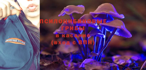 каннабис Карпинск